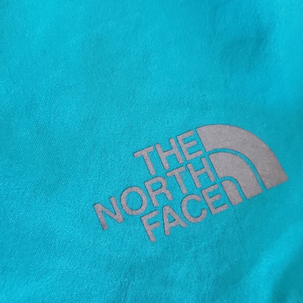 The North Face  flashdry shorts